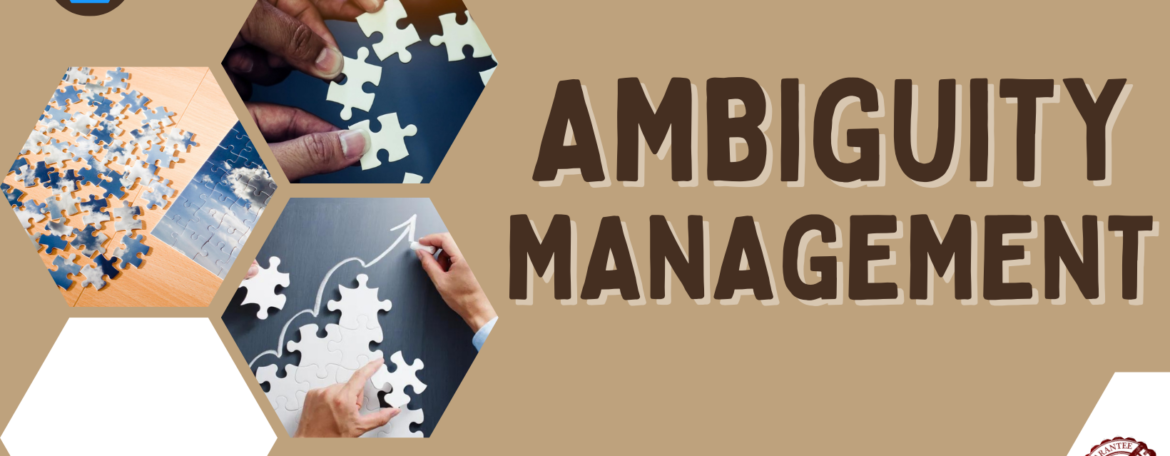 Ambiguity Management Youphoria