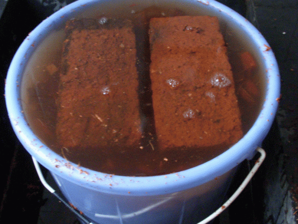 Bricks and bucket Youphoria