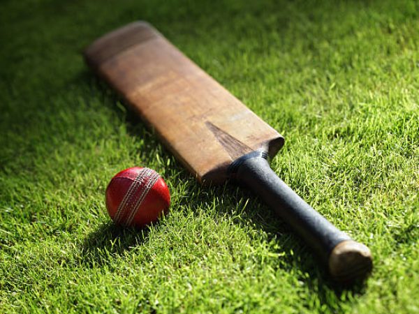 Cricket bat and ball on green grass of cricket pitch
