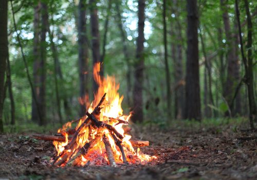Survival Challenge Campfire Youphoria